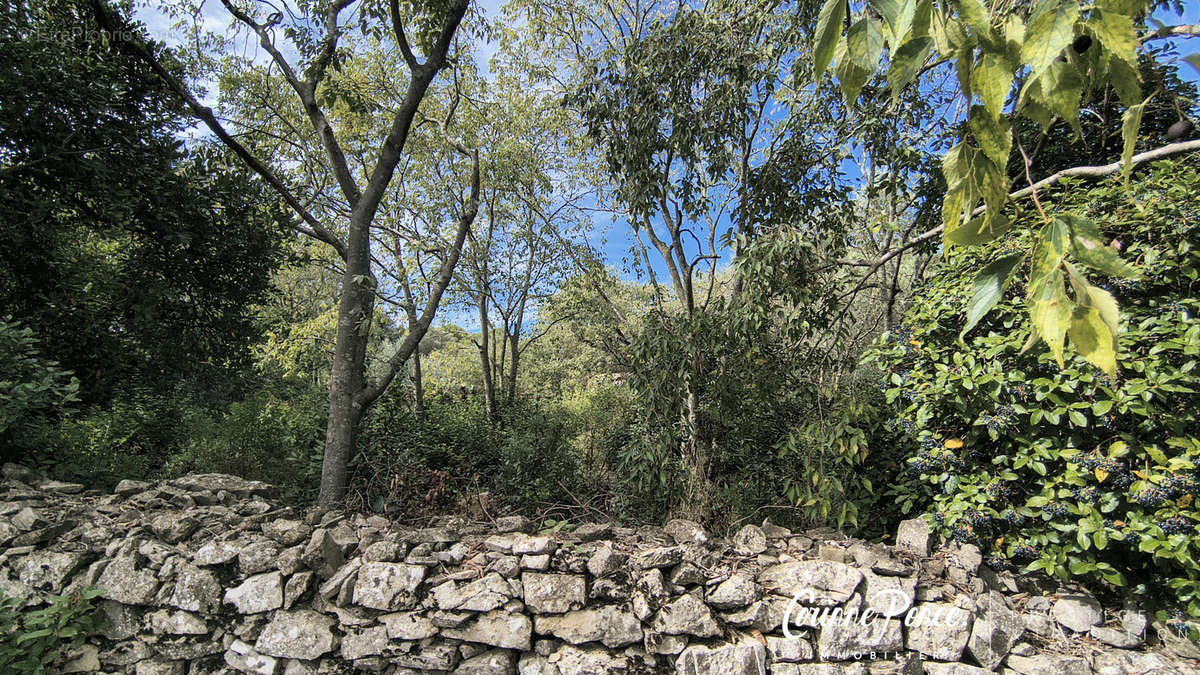 Terrain à NIMES