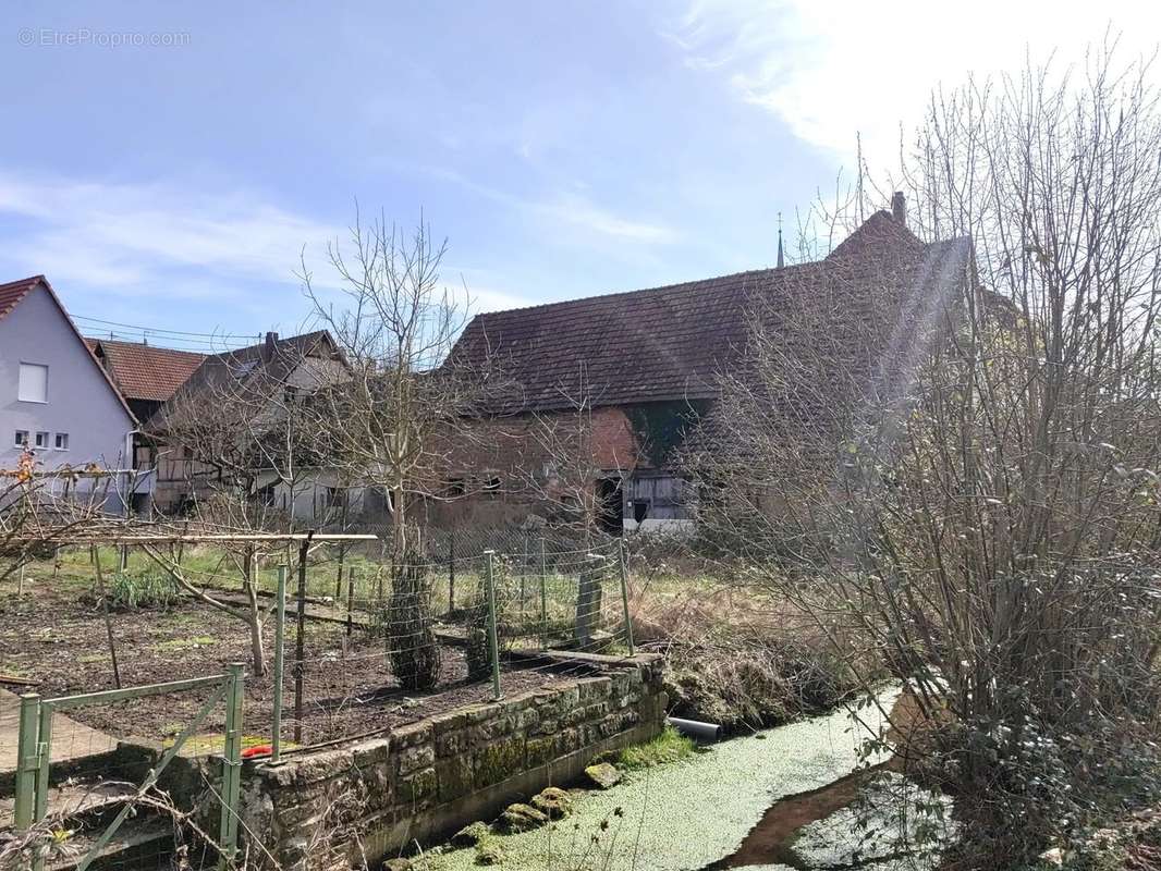 rothbach, ik jardin autre vue - Maison à HAGUENAU