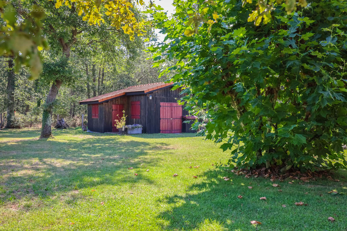 Maison à BELIN-BELIET