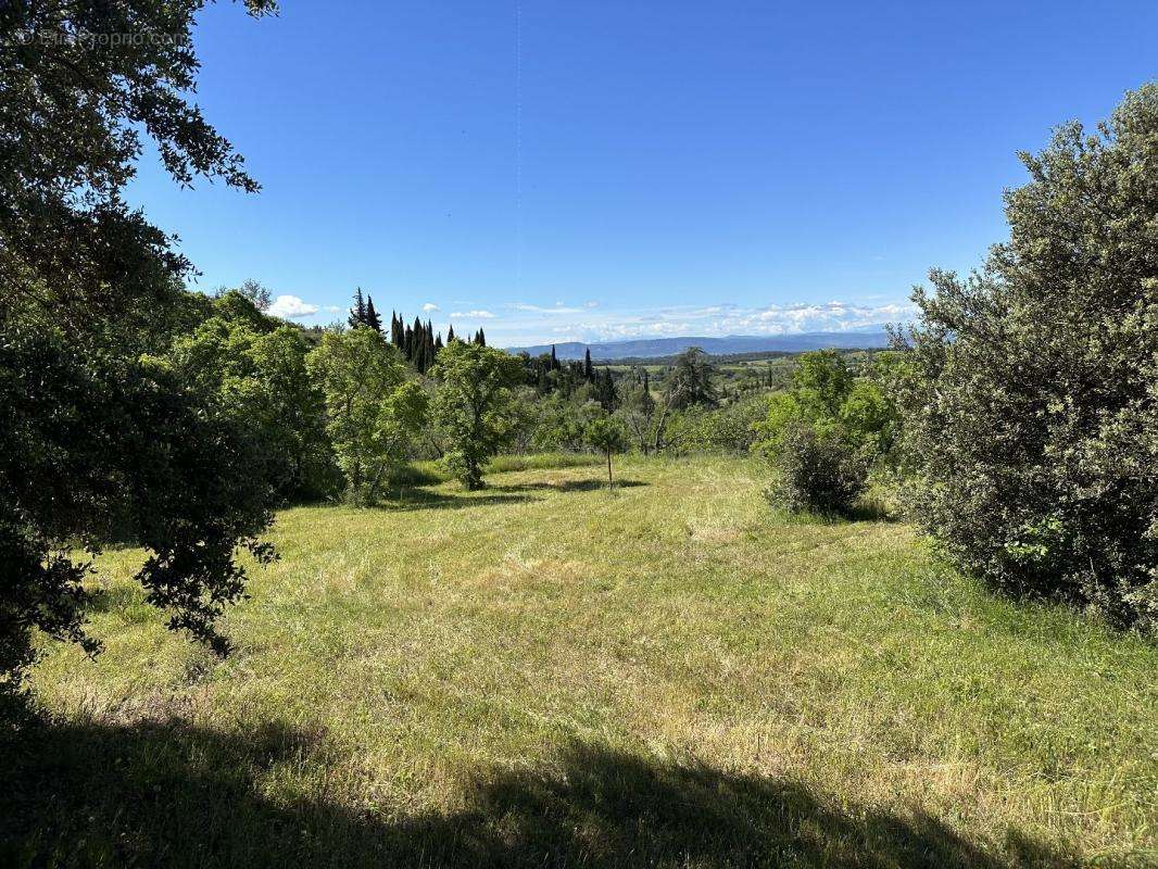 Terrain à CAUNES-MINERVOIS