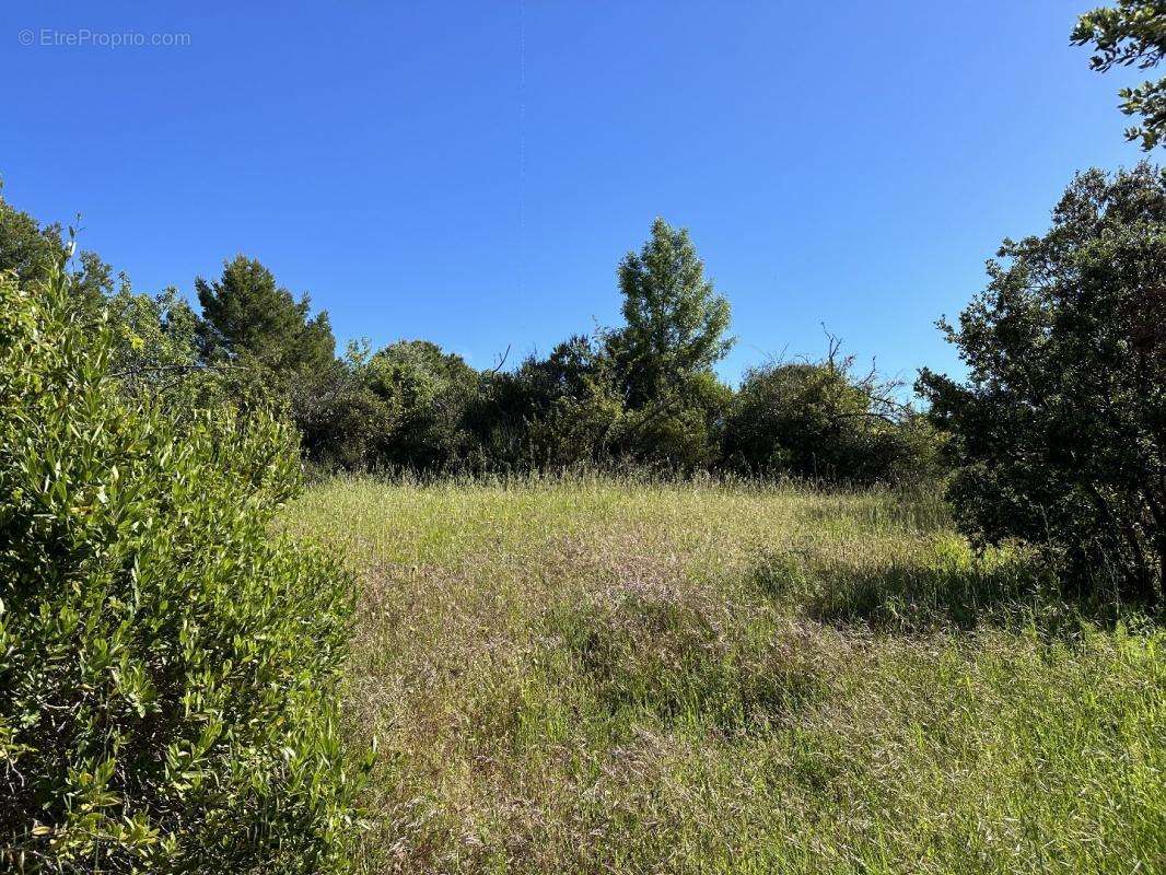 Terrain à CAUNES-MINERVOIS