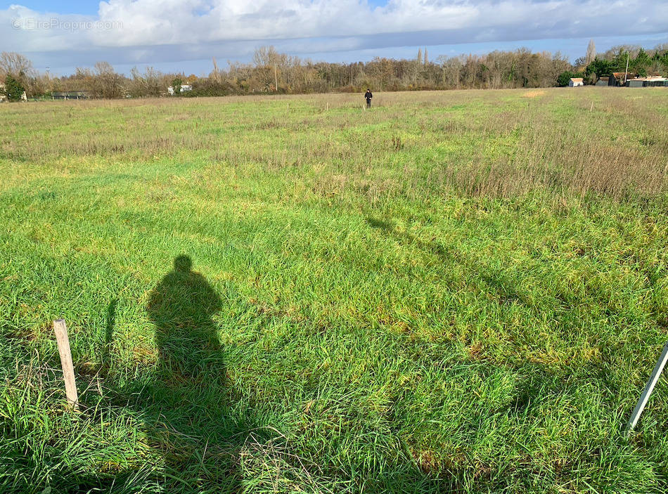 Terrain à SAINT-CHRISTOLY-DE-BLAYE