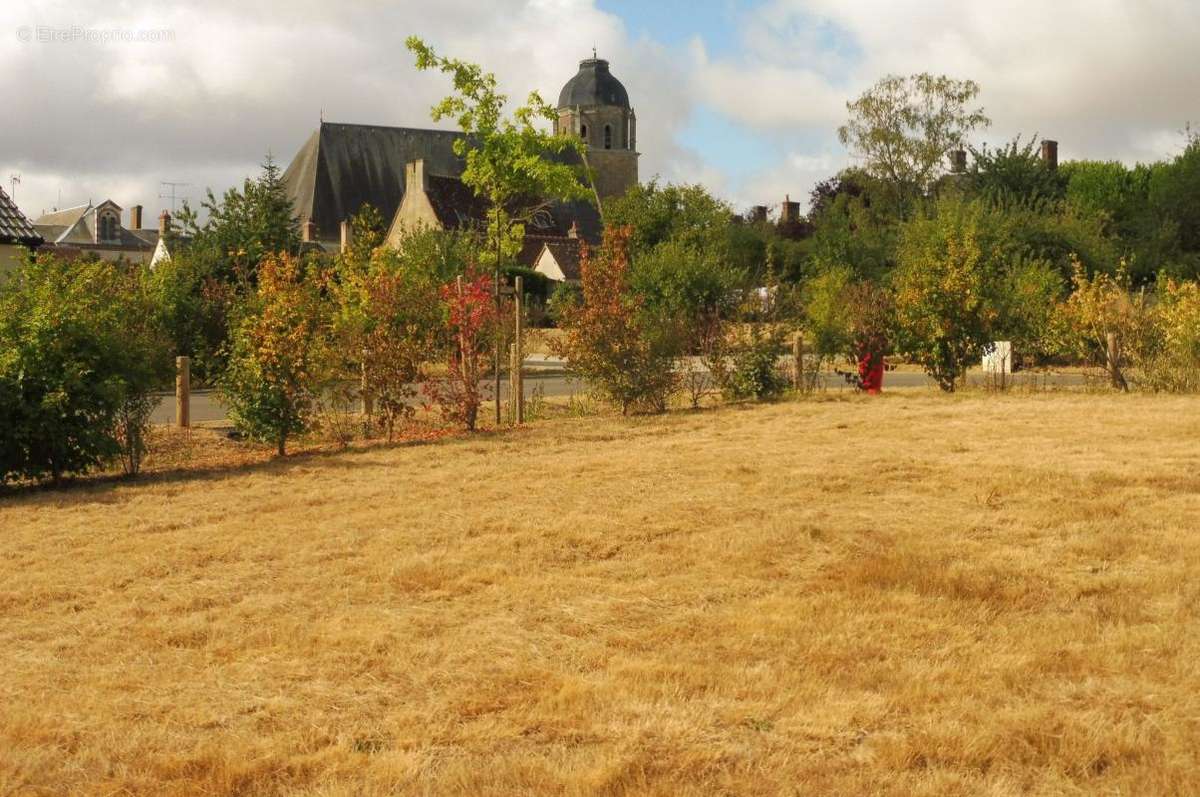 Terrain à LA VILLE-AUX-CLERCS