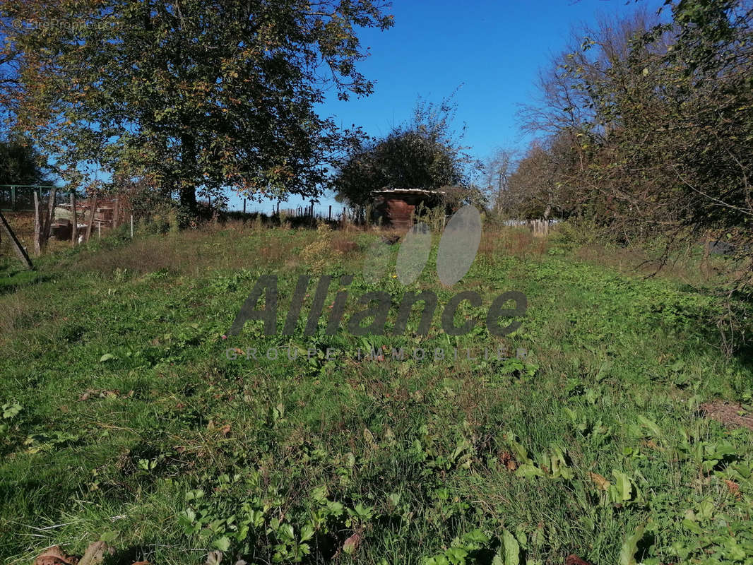 Terrain à ABELCOURT