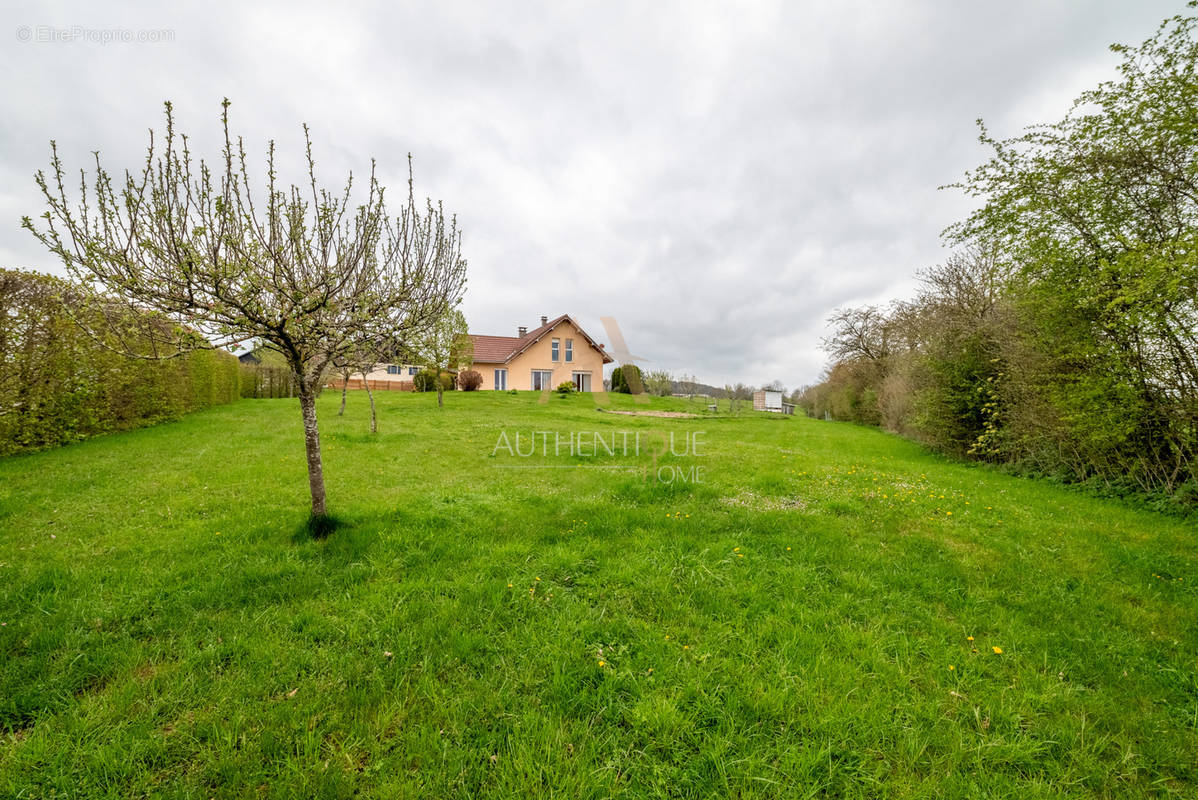 Maison à VERCEL-VILLEDIEU-LE-CAMP