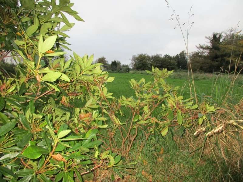 Terrain à LANDIVISIAU