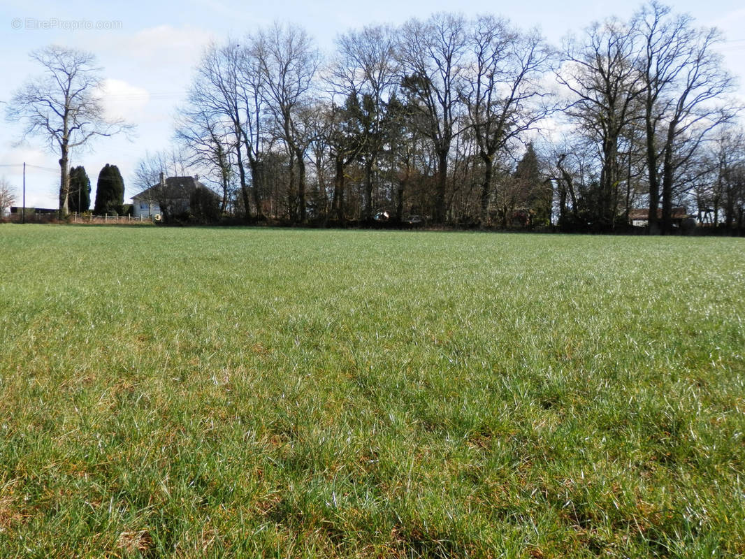 Terrain à SAINT-OUEN-DES-ALLEUX