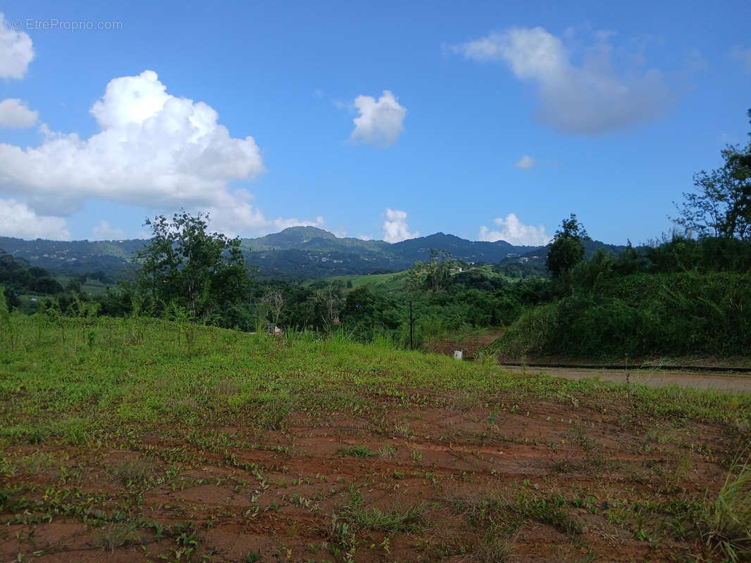 Terrain à SAINT-ESPRIT