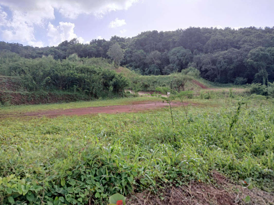 Terrain à SAINT-ESPRIT