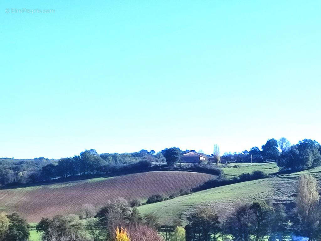 Terrain à MONTAUBAN