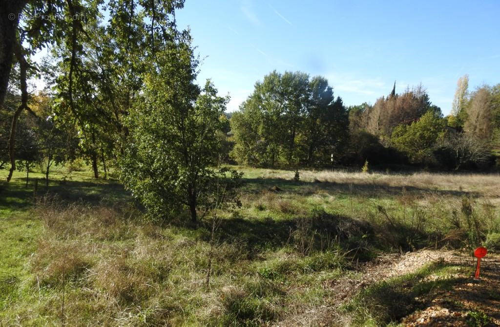 Terrain à LA SALVETAT-BELMONTET