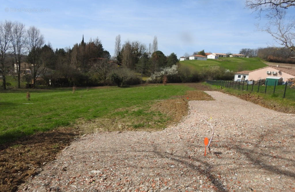 Terrain à LA SALVETAT-BELMONTET