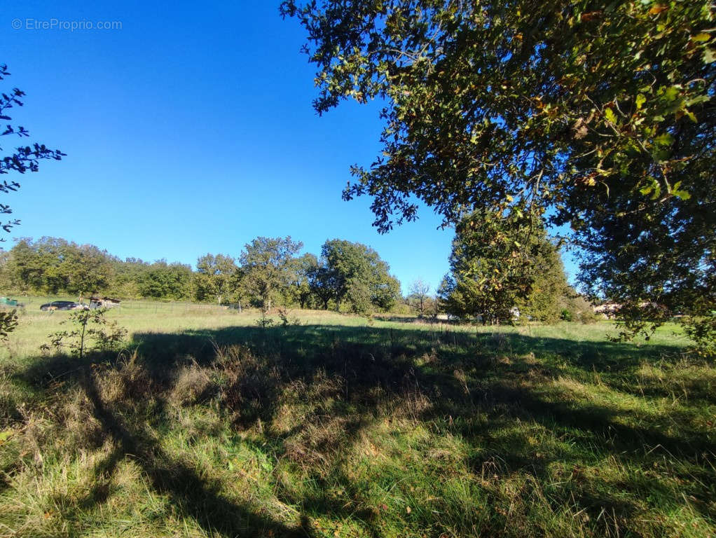 Terrain à LA SALVETAT-BELMONTET