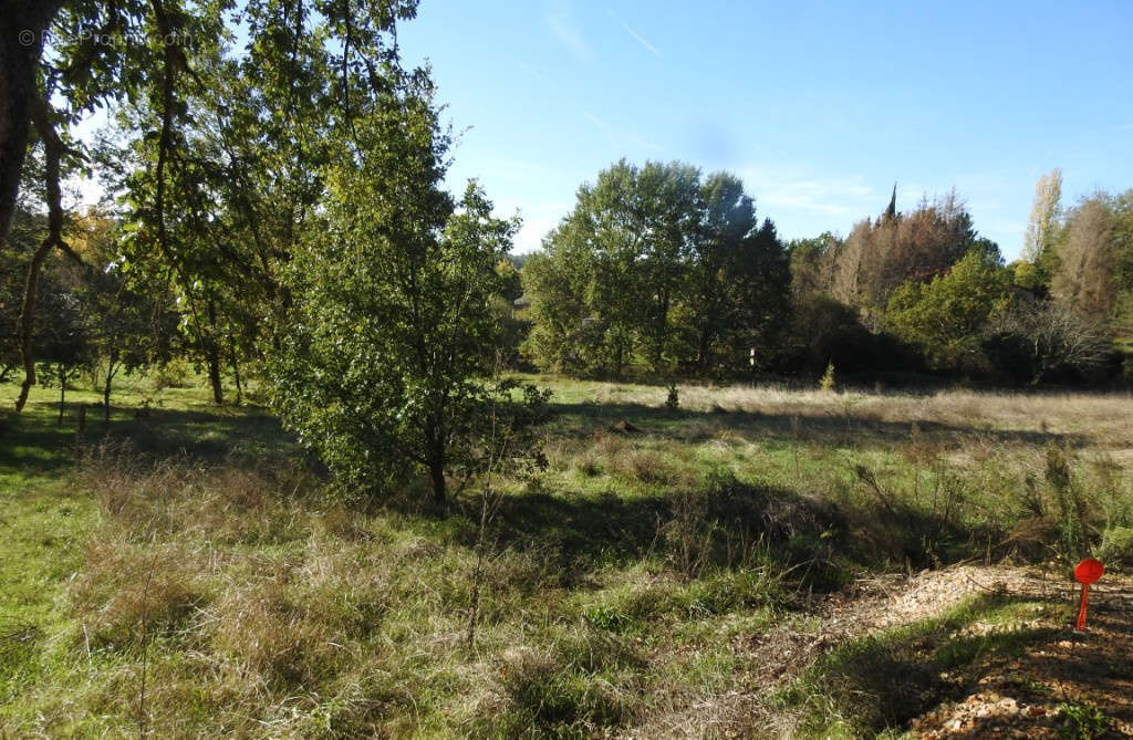 Terrain à LA SALVETAT-BELMONTET