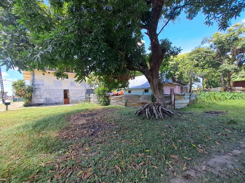 Appartement à SINNAMARY