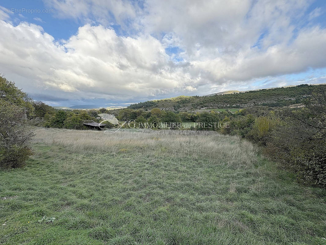 Terrain à MONIEUX