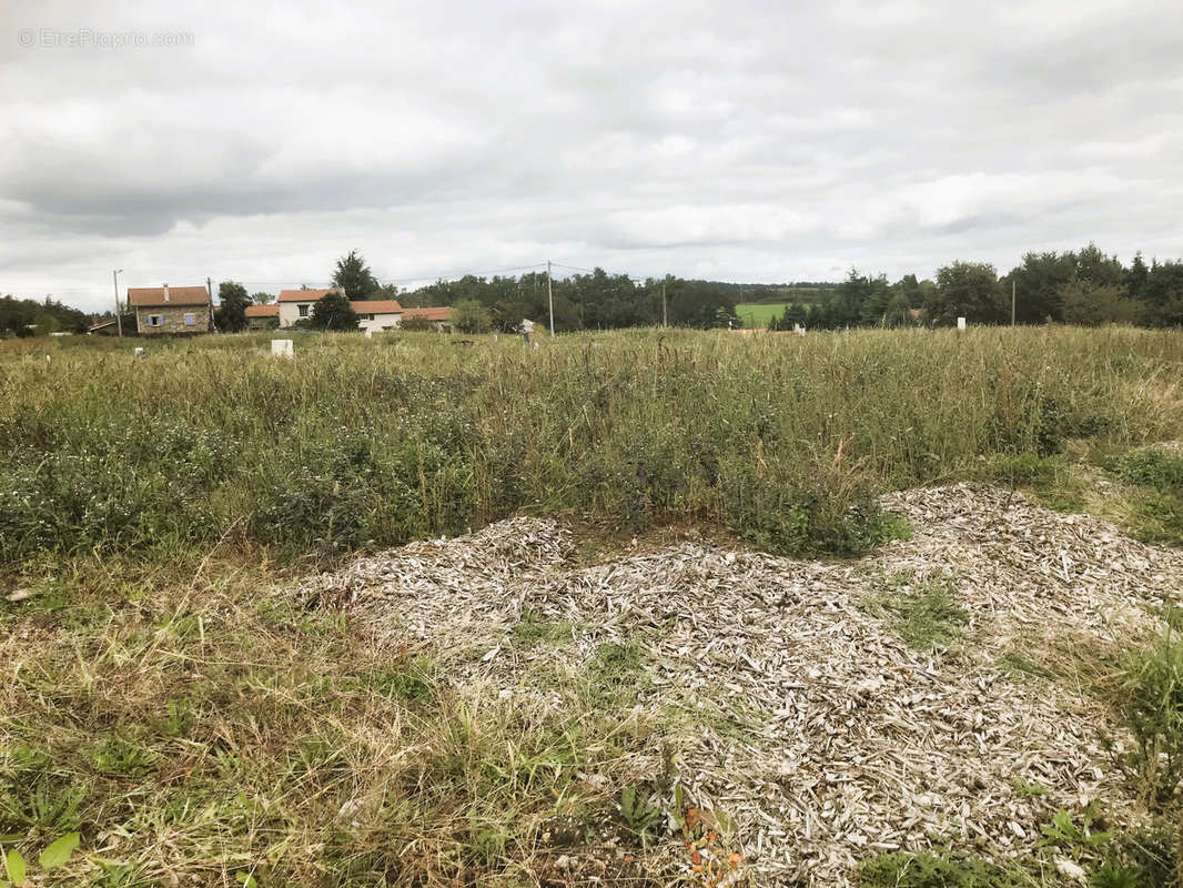 Terrain à ROCHE-LA-MOLIERE