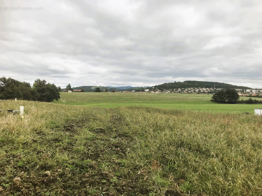 Terrain à ROCHE-LA-MOLIERE