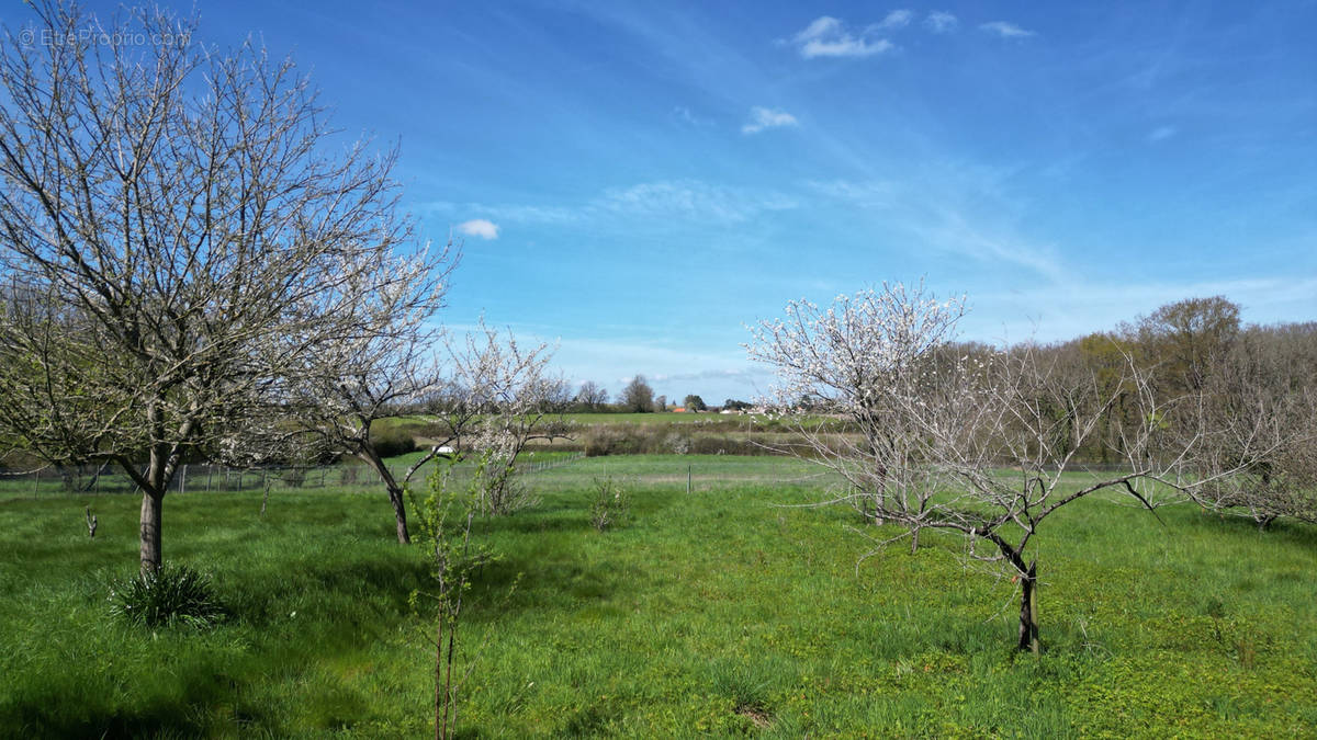 Terrain à MIGNALOUX-BEAUVOIR