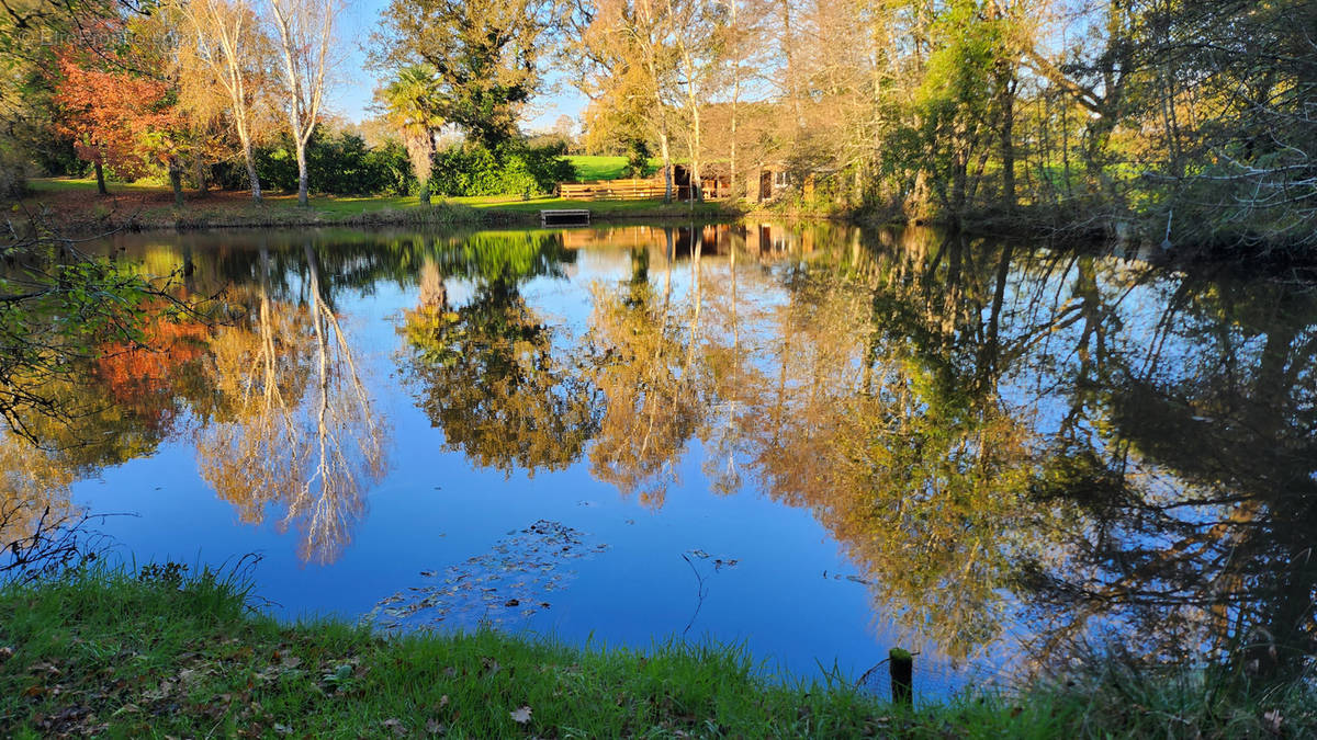 Terrain à SAINT-VINCENT-SUR-GRAON