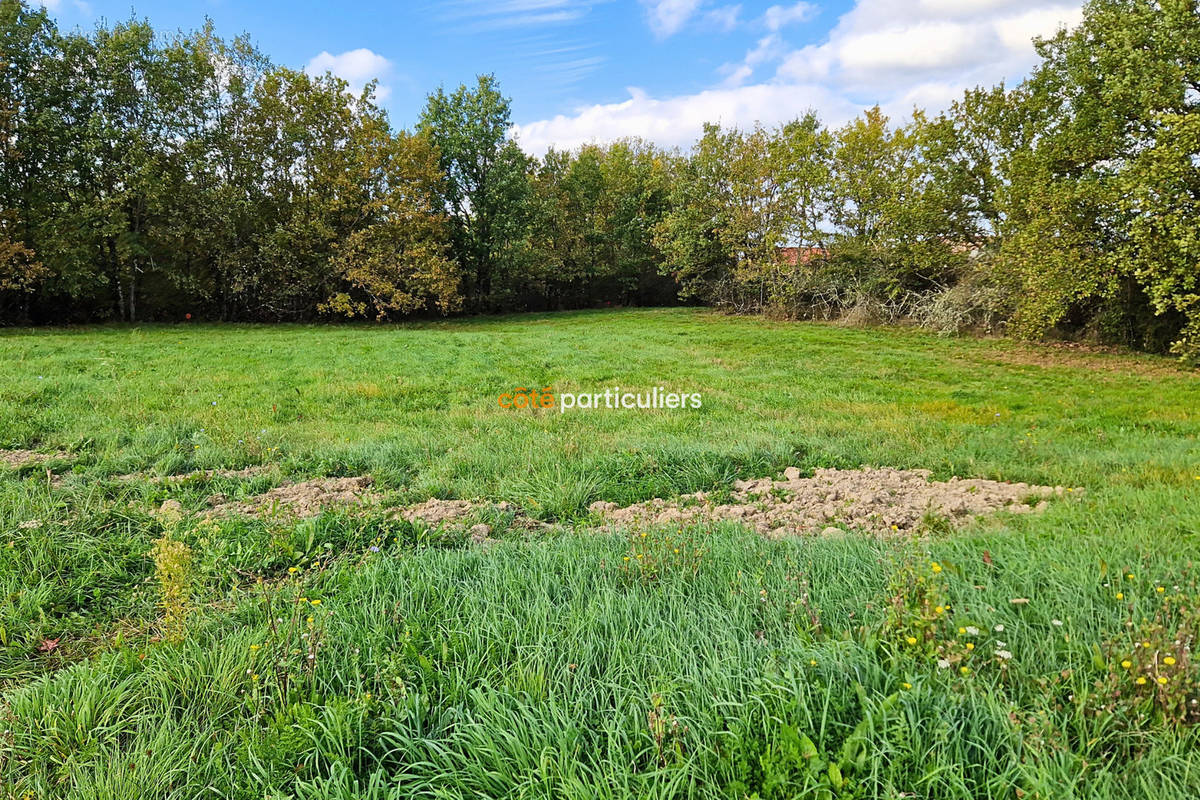 Terrain à MONTAUBAN