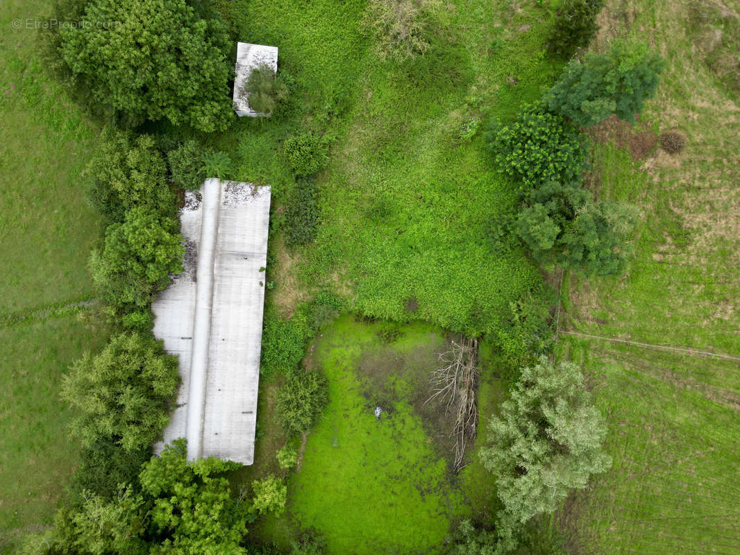 Maison à LAPALISSE