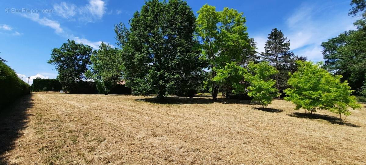 Terrain à CONTAMINE-SUR-ARVE