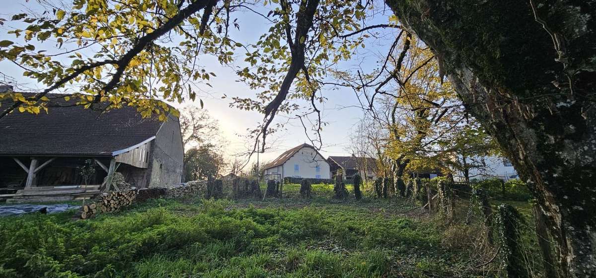 Terrain à RIOZ