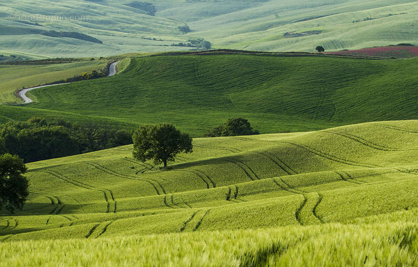 Terrain à BUSSY-SAINT-GEORGES