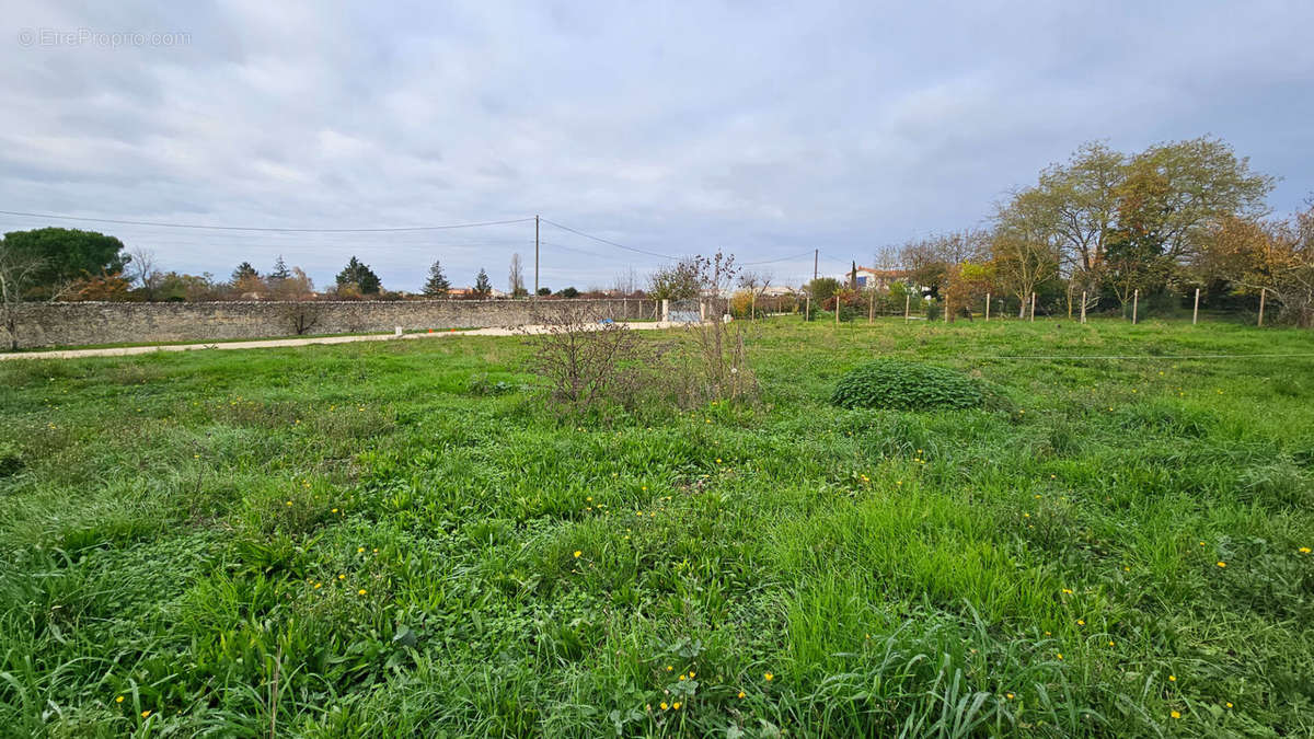 Terrain à NIORT