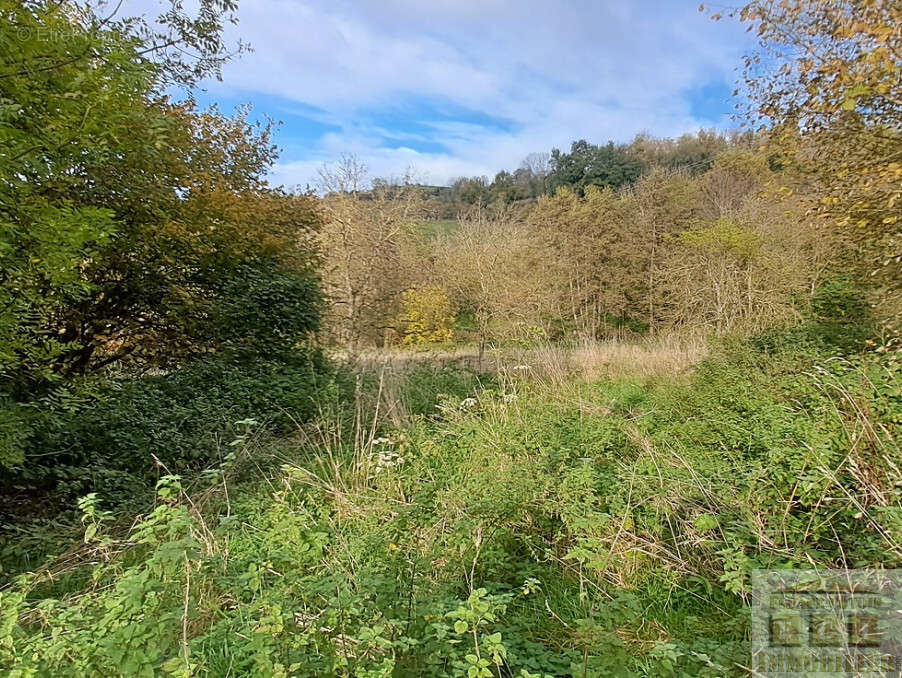 Terrain à SAINT-PIERRE-DE-BRESSIEUX