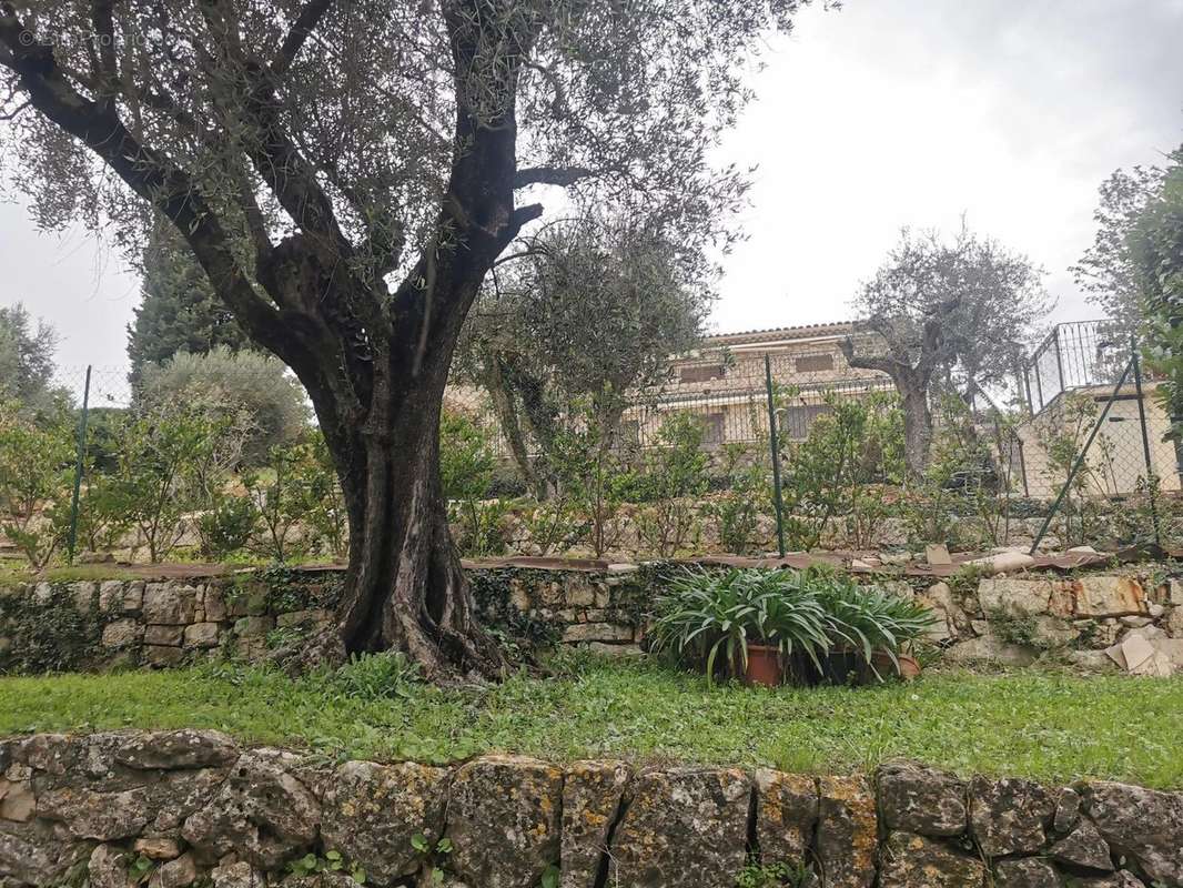 Maison à CHATEAUNEUF-GRASSE