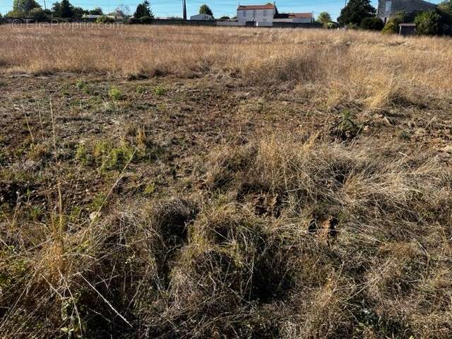 Terrain à COGNAC