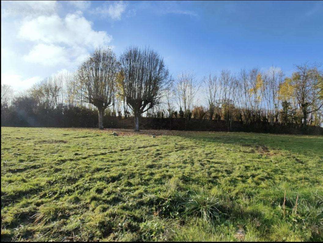 Terrain à BOISSEUIL