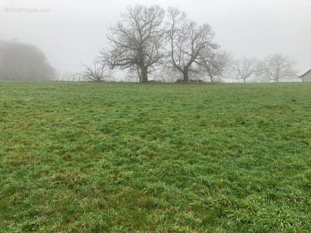 Terrain à BOISSEUIL