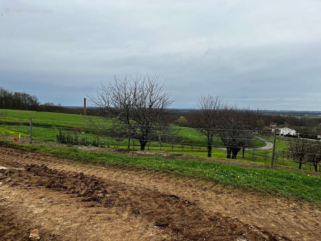 Terrain à CHERVES-RICHEMONT