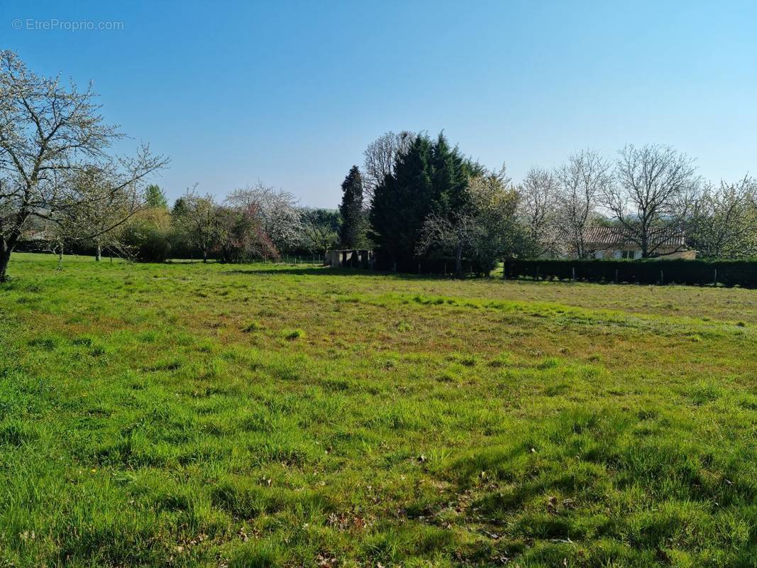 Terrain à RIOUX-MARTIN