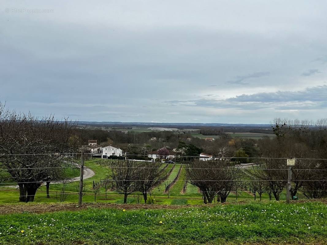 Terrain à CHERVES-RICHEMONT