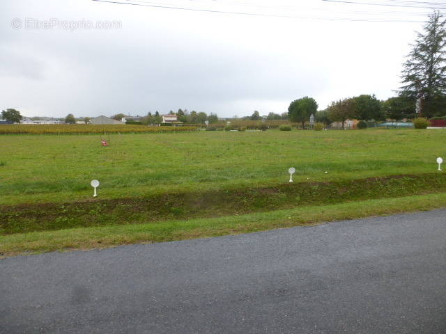 Terrain à BRIE-SOUS-ARCHIAC