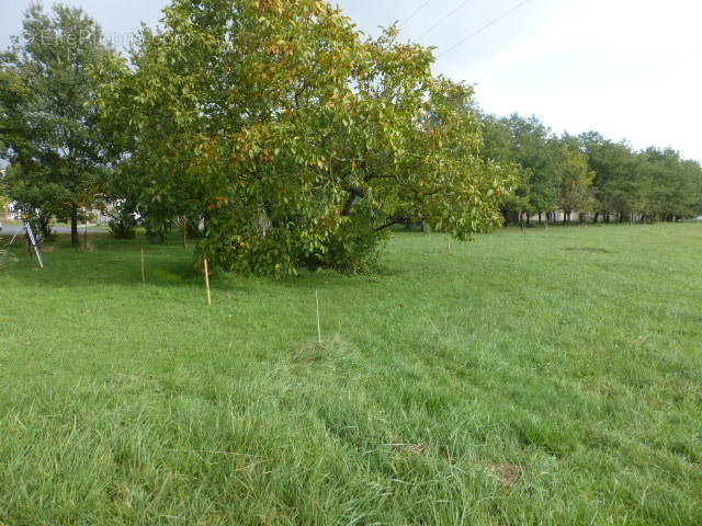 Terrain à CHADENAC