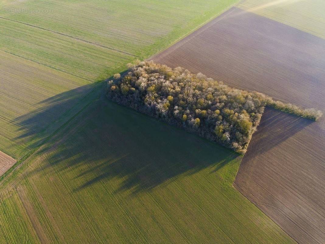 Terrain à ISLE