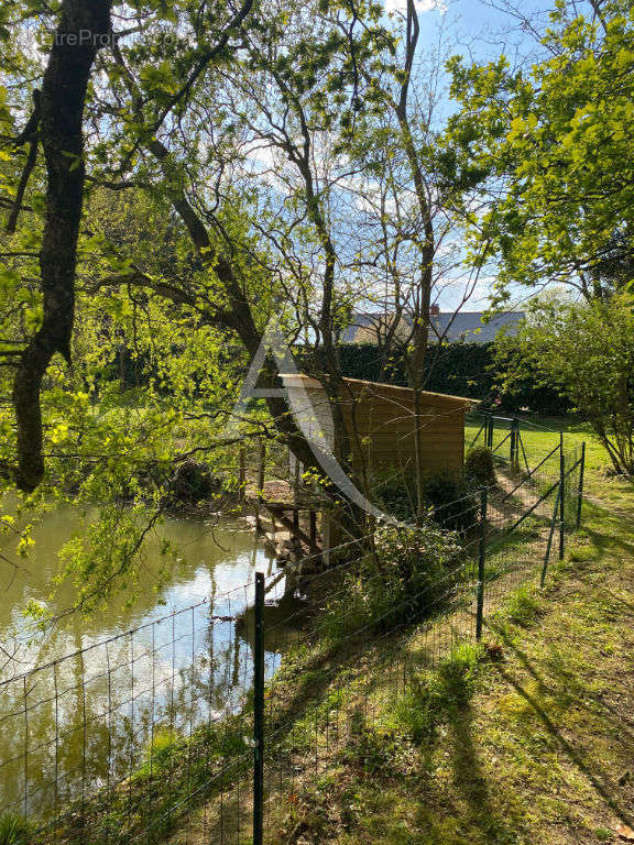 Maison à LIGNE