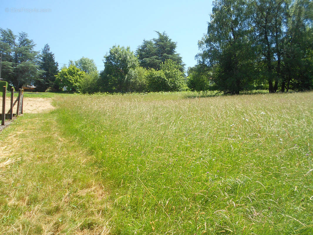 Terrain à LACROUZETTE