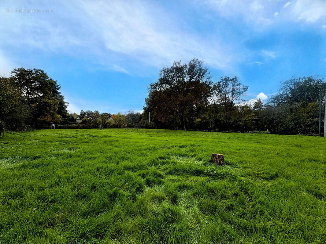 Terrain à MEAULNE