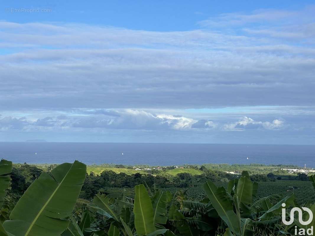 Photo 2 - Commerce à CAPESTERRE-BELLE-EAU