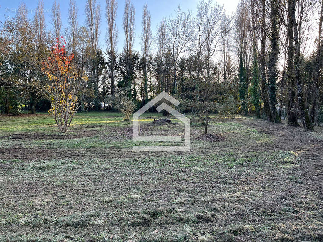 Terrain à LE TAILLAN-MEDOC