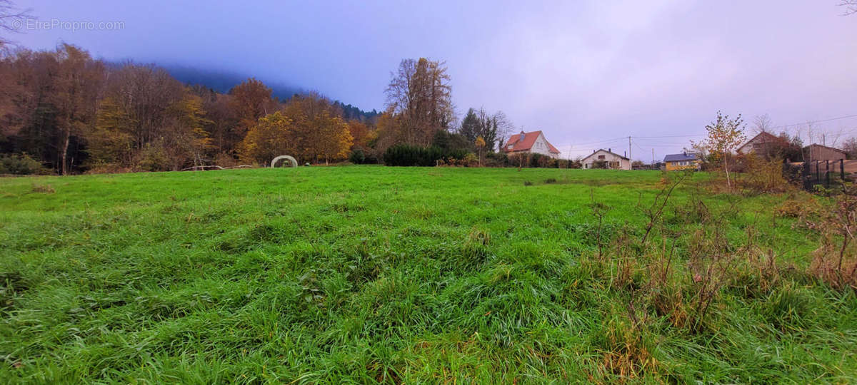 Terrain à SAINT-MICHEL-SUR-MEURTHE