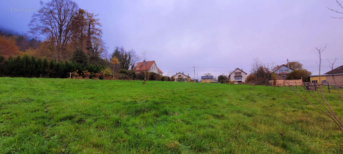 Terrain à SAINT-MICHEL-SUR-MEURTHE