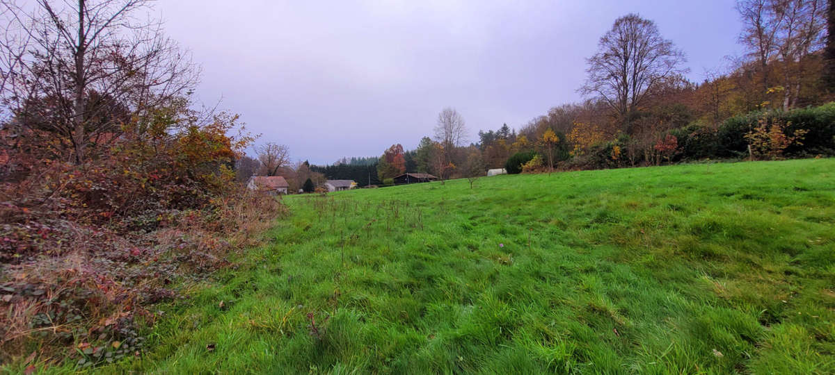 Terrain à SAINT-MICHEL-SUR-MEURTHE