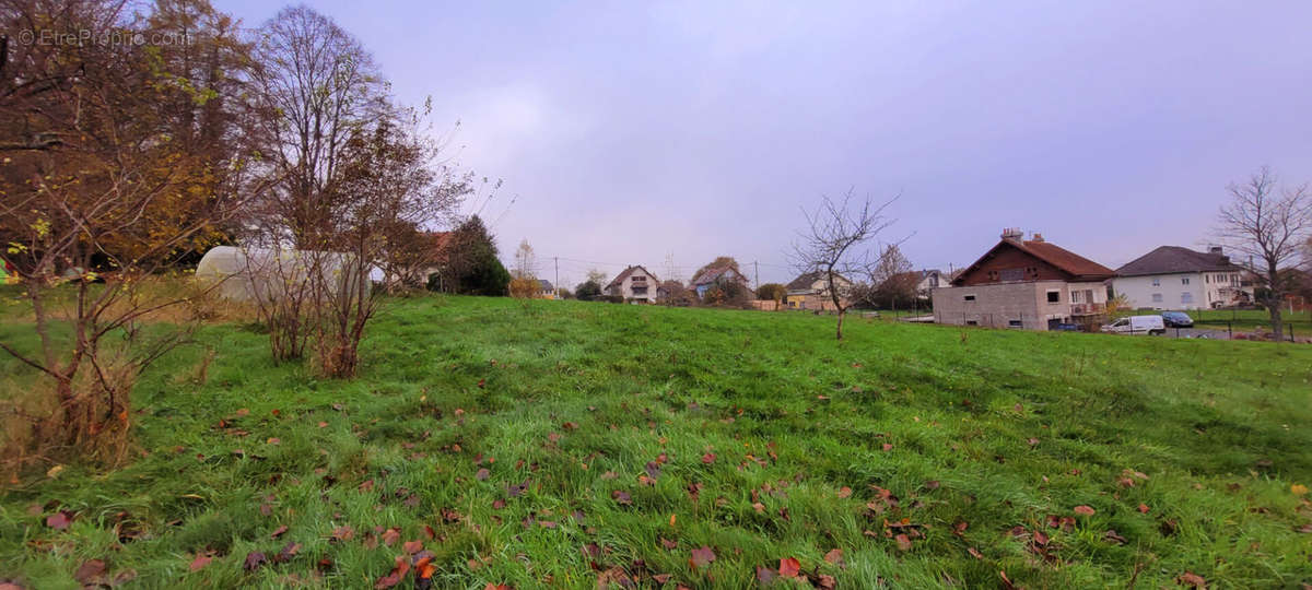 Terrain à SAINT-MICHEL-SUR-MEURTHE